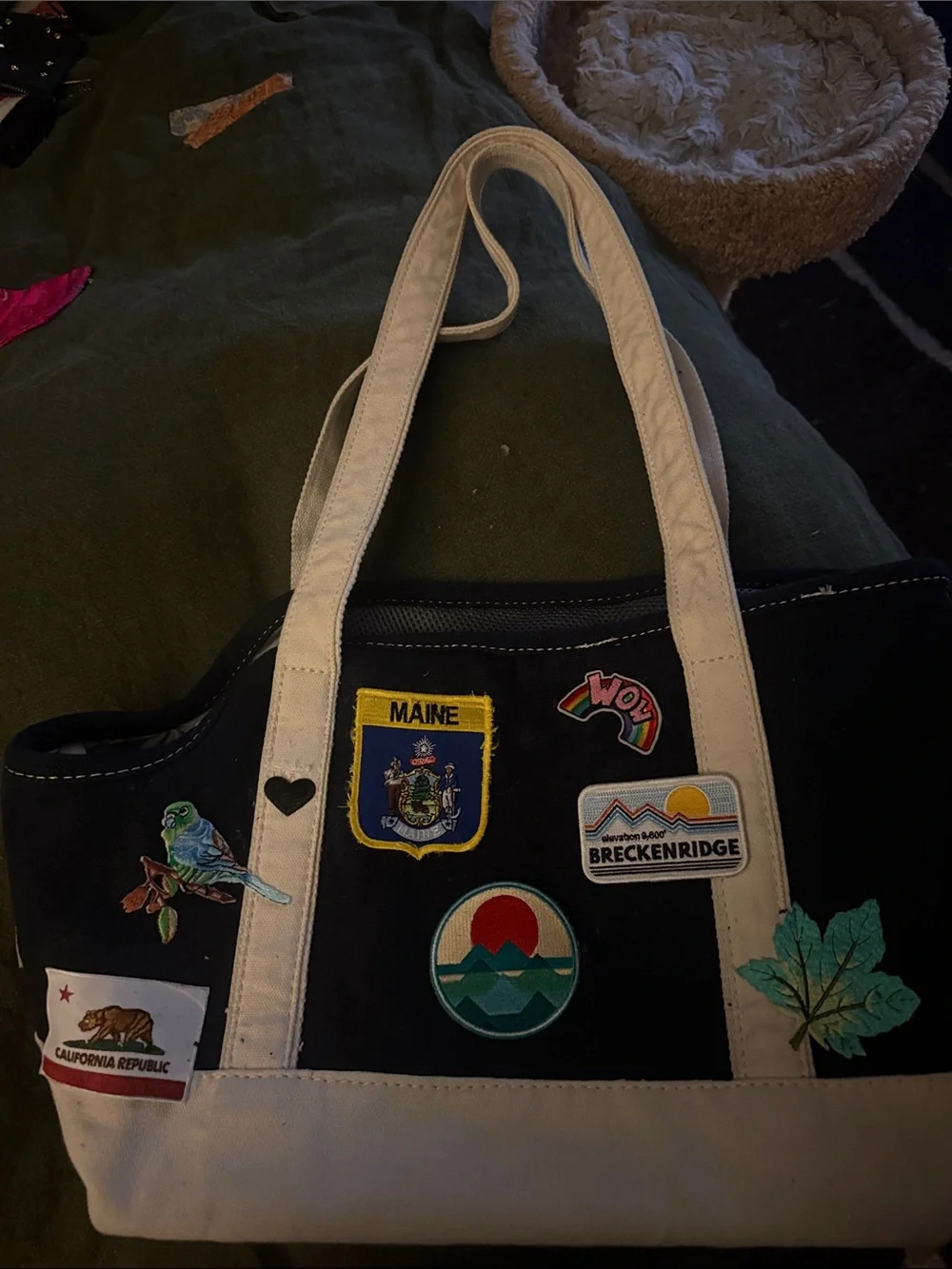 CUSTOM CANVAS PERSONALIZED PET CARRIER